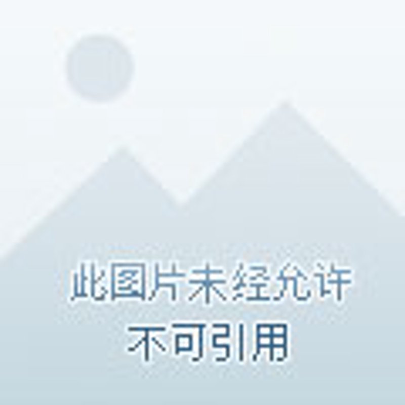 电力工程公司:照亮未来之路